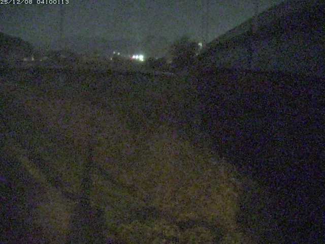 野坂川２2025/12/08 11:30:00