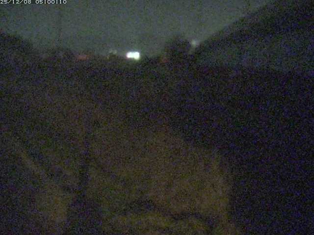 野坂川２2025/12/08 11:30:00