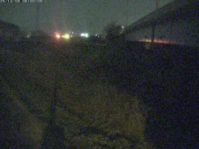 野坂川２2025/12/08 11:30:00