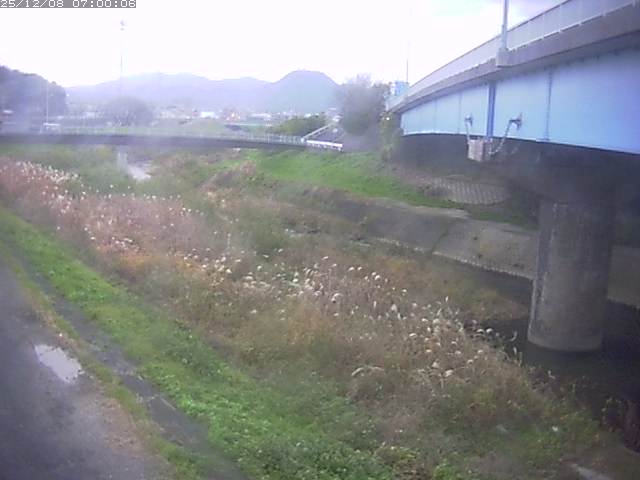野坂川２2025/12/08 11:30:00