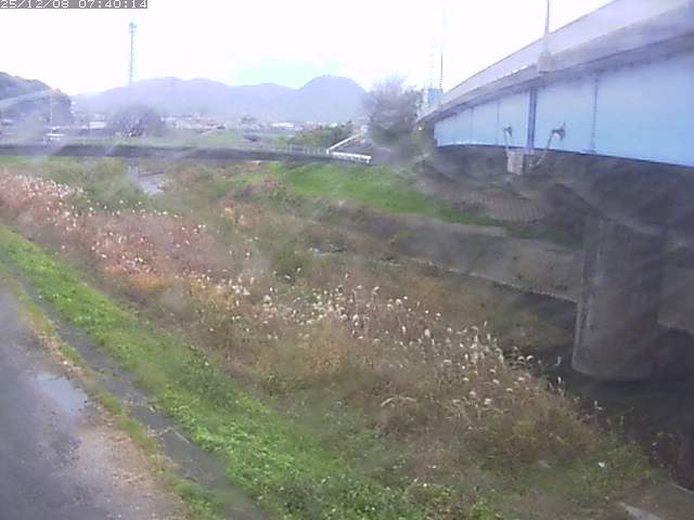 野坂川２2025/12/08 11:30:00