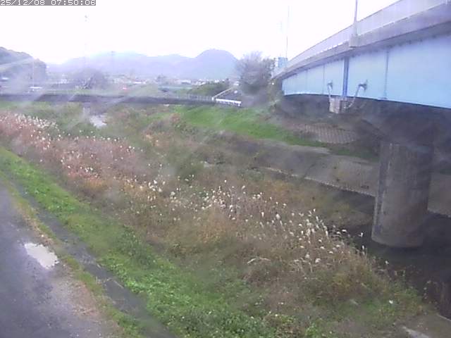 野坂川２2025/12/08 11:30:00