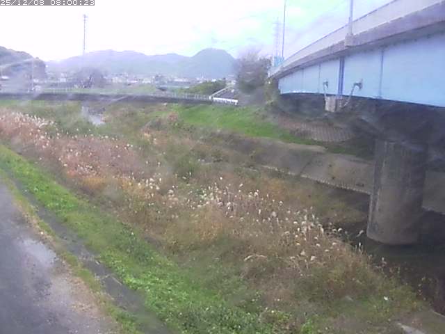 野坂川２2025/12/08 11:30:00