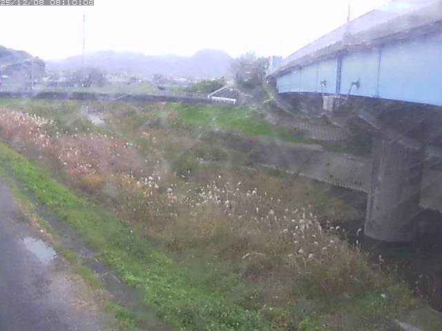 野坂川２2025/12/08 11:30:00