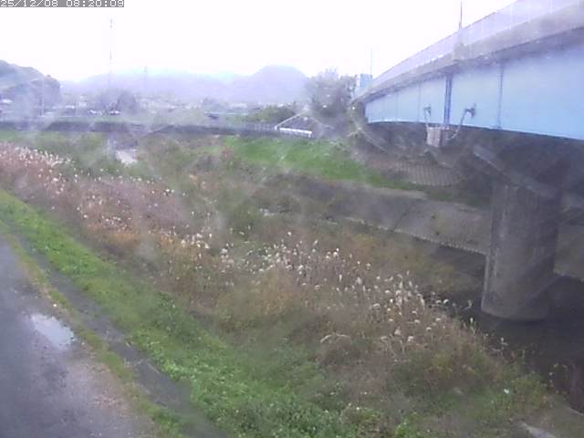 野坂川２2025/12/08 11:30:00