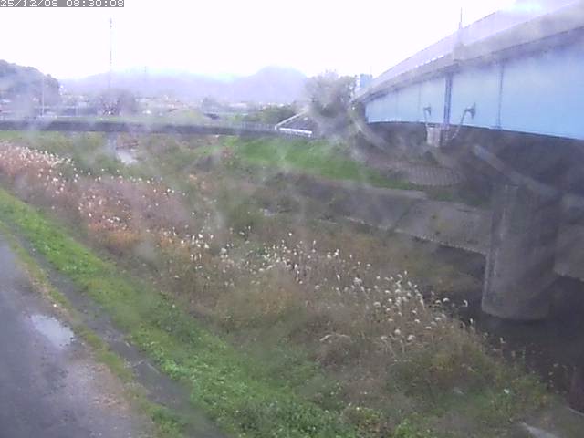 野坂川２2025/12/08 11:30:00