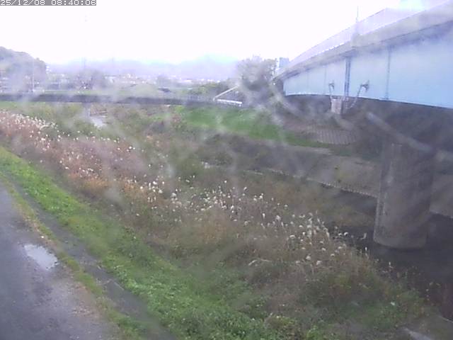 野坂川２2025/12/08 11:30:00