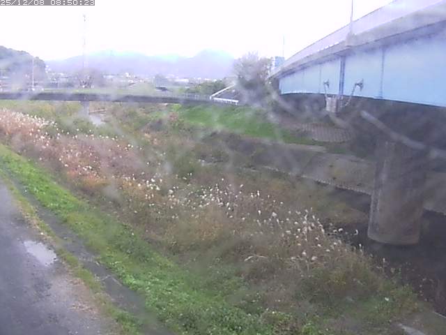 野坂川２2025/12/08 11:30:00