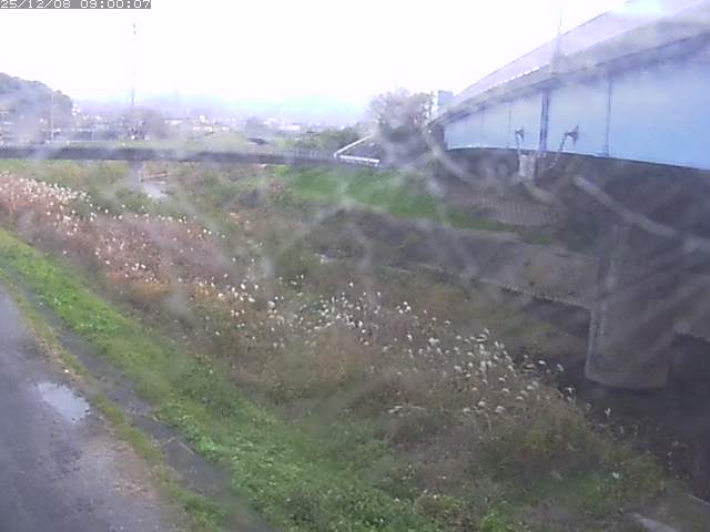 野坂川２2025/12/08 11:30:00