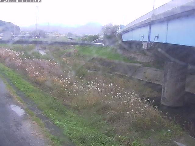 野坂川２2025/12/08 11:30:00