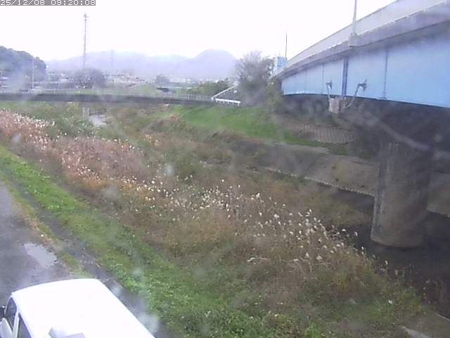 野坂川２2025/12/08 11:30:00