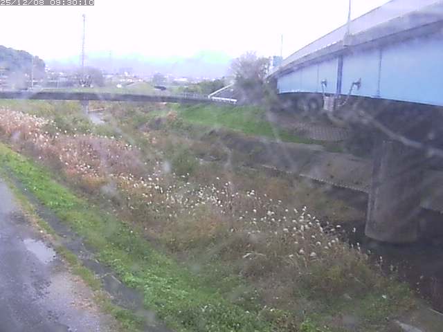 野坂川２2025/12/08 11:30:00