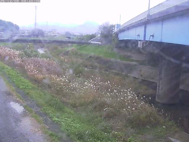 野坂川２2025/12/08 11:30:00