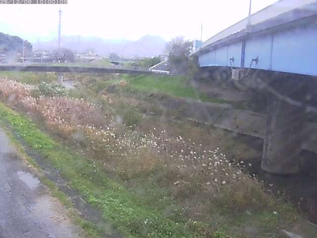 野坂川２2025/12/08 11:30:00