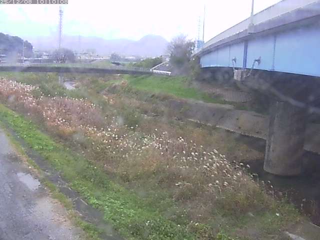 野坂川２2025/12/08 11:30:00