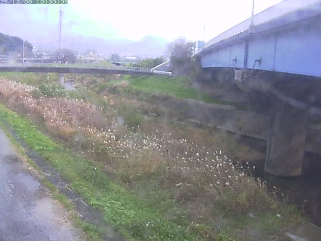 野坂川２2025/12/08 11:30:00