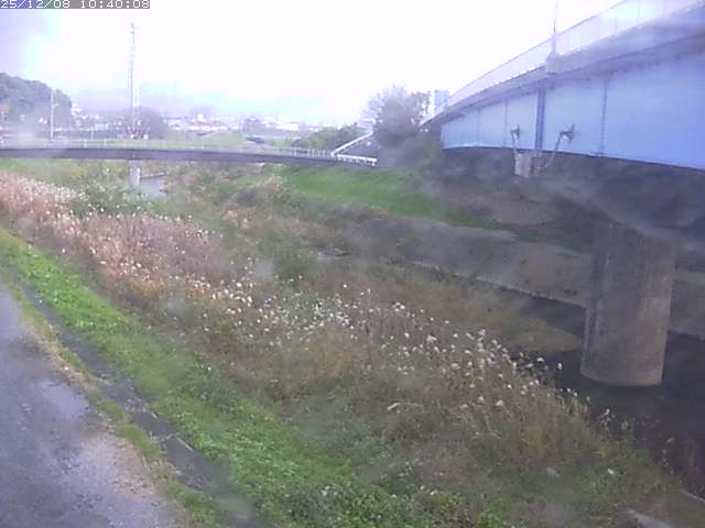 野坂川２2025/12/08 11:30:00