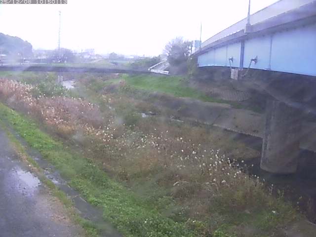 野坂川２2025/12/08 11:30:00