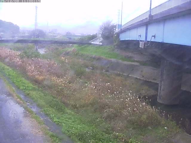 野坂川２2025/12/08 11:30:00
