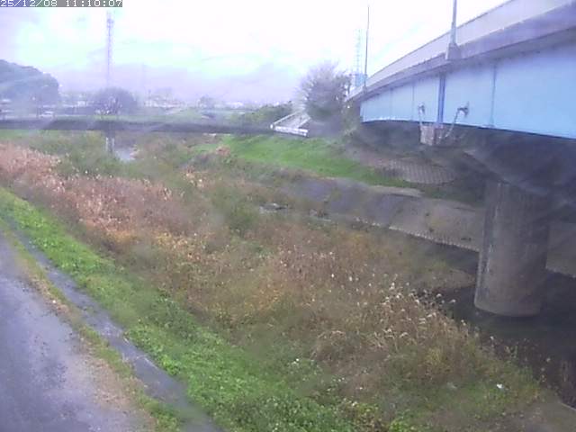 野坂川２2025/12/08 11:30:00