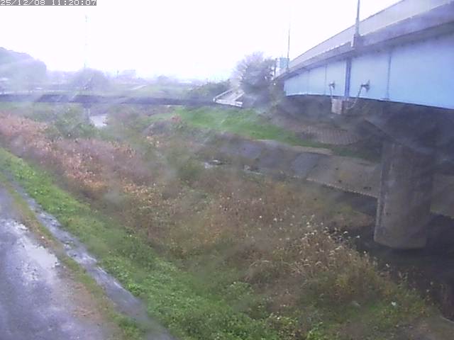 野坂川２2025/12/08 11:30:00
