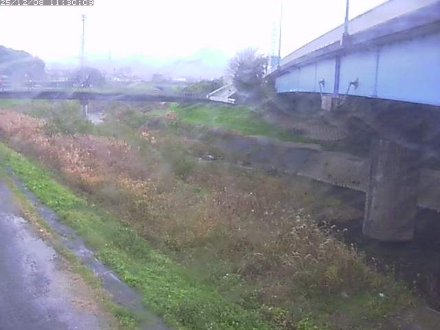 野坂川２2025/12/08 11:30:00
