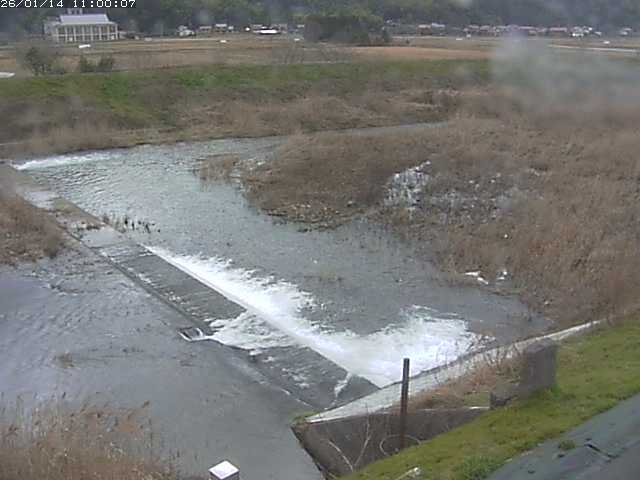 河内川２2026/01/14 20:10:00