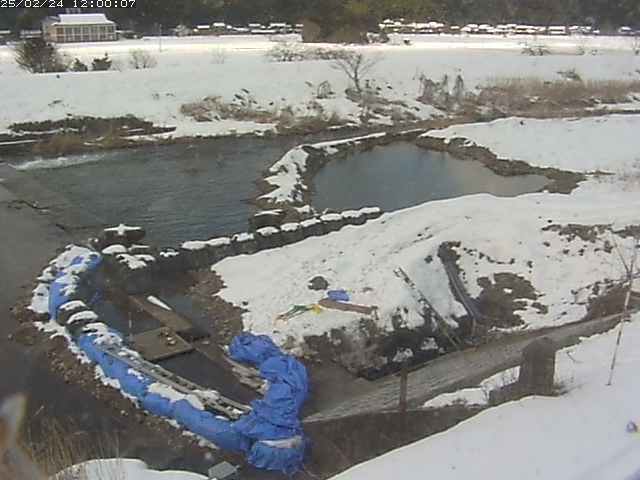 河内川２2026/02/25 2:30:00