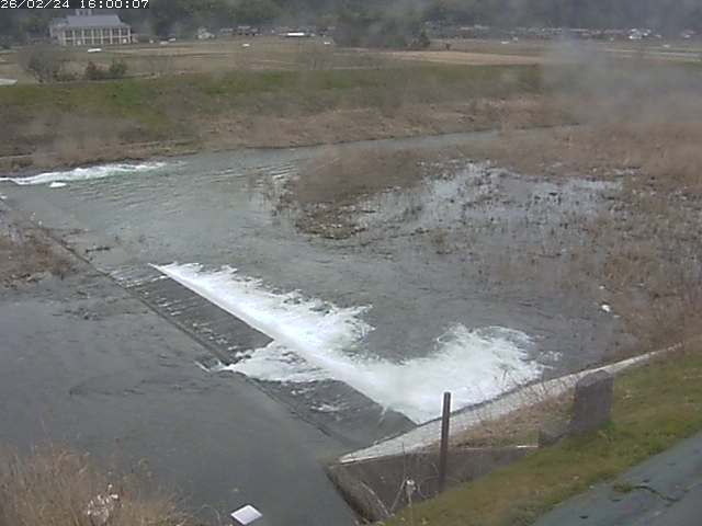 河内川２2026/02/25 2:30:00