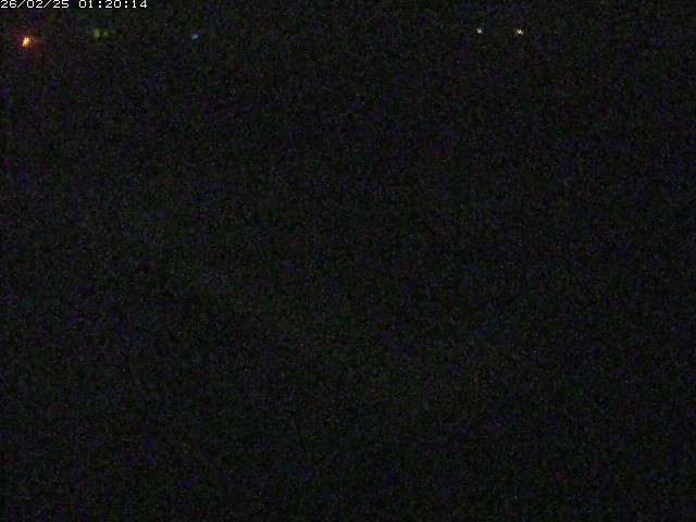 河内川２2026/02/25 2:30:00