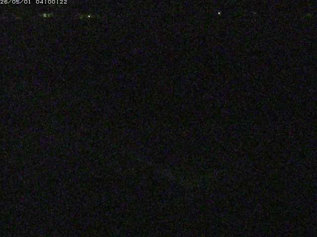 河内川２2026/05/01 16:50:00