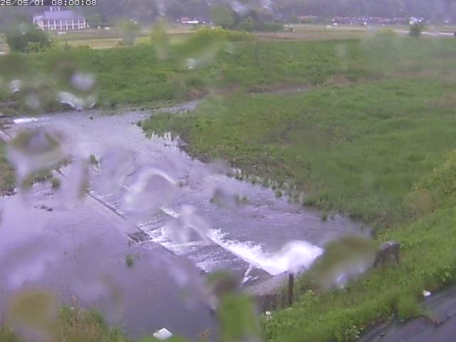 河内川２2026/05/01 16:50:00