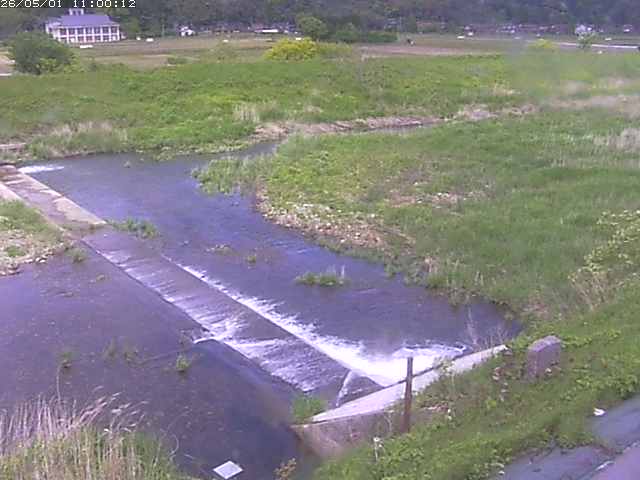 河内川２2026/05/01 16:50:00