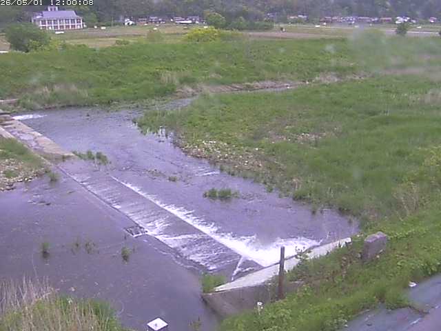 河内川２2026/05/01 16:50:00