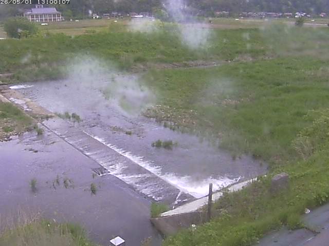 河内川２2026/05/01 16:50:00