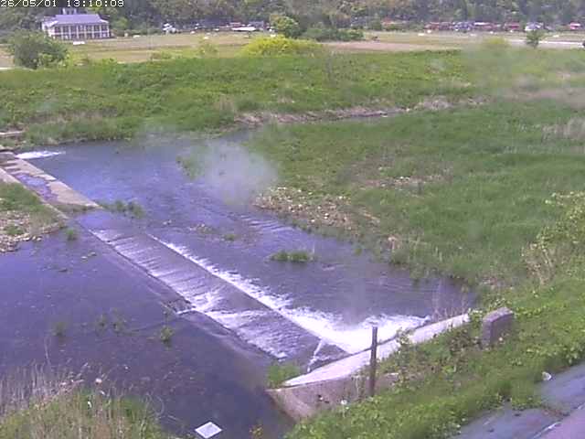 河内川２2026/05/01 16:50:00