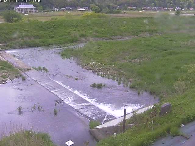 河内川２2026/05/01 16:50:00