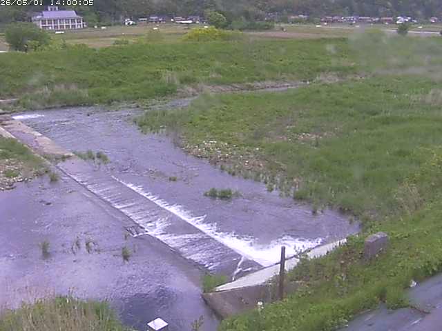 河内川２2026/05/01 16:50:00