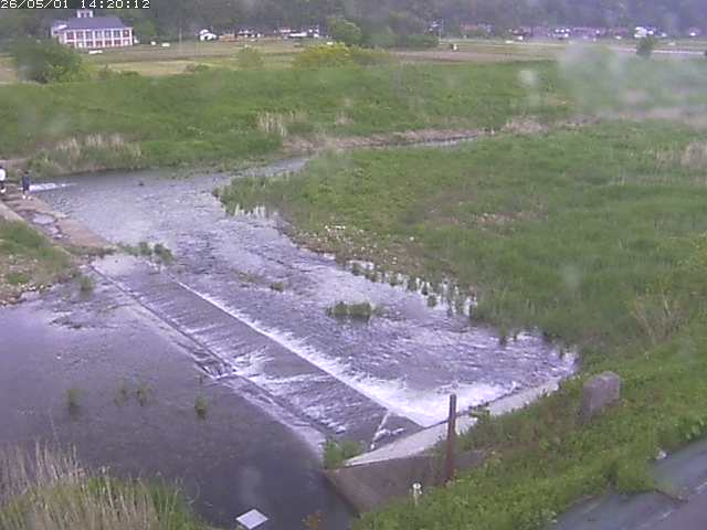 河内川２2026/05/01 16:50:00