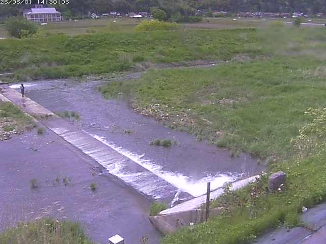 河内川２2026/05/01 16:50:00