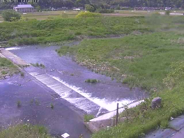 河内川２2026/05/01 16:50:00
