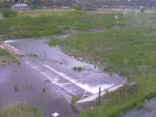 河内川２2026/05/01 16:50:00