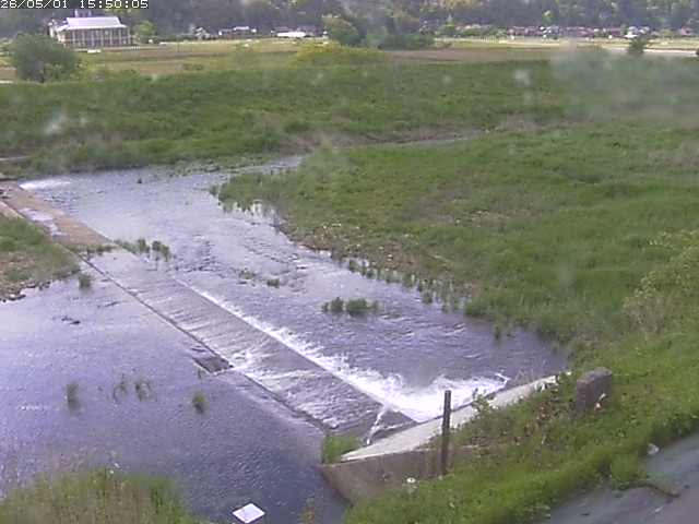 河内川２2026/05/01 16:50:00