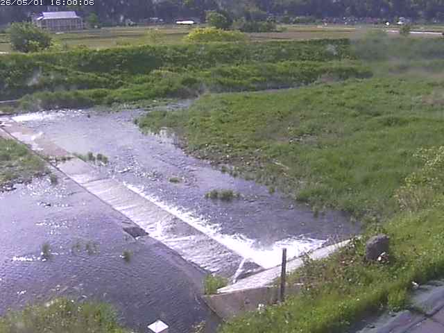 河内川２2026/05/01 16:50:00