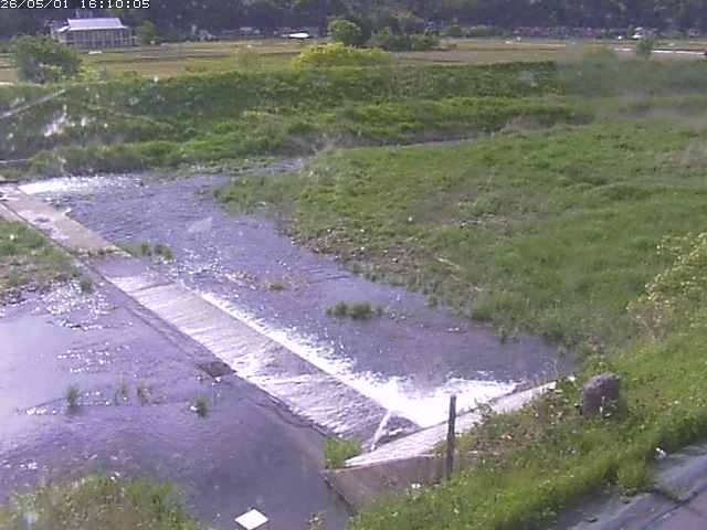 河内川２2026/05/01 16:50:00