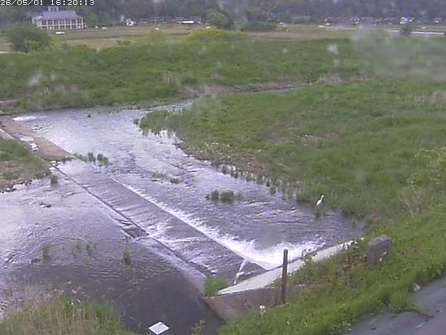 河内川２2026/05/01 16:50:00