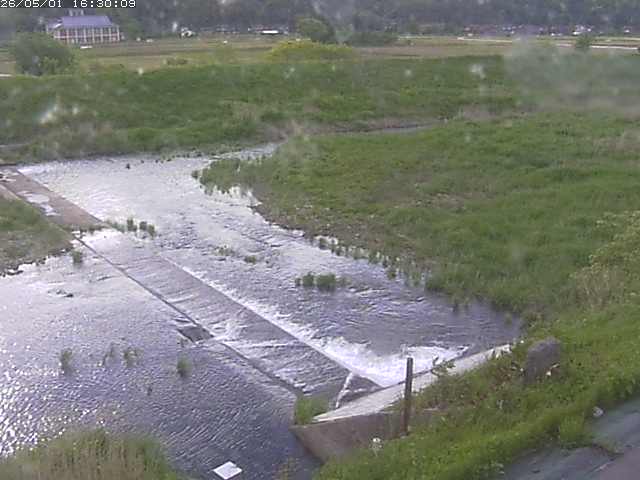 河内川２2026/05/01 16:50:00