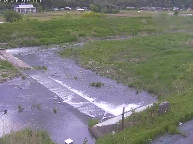 河内川２2026/05/01 16:50:00