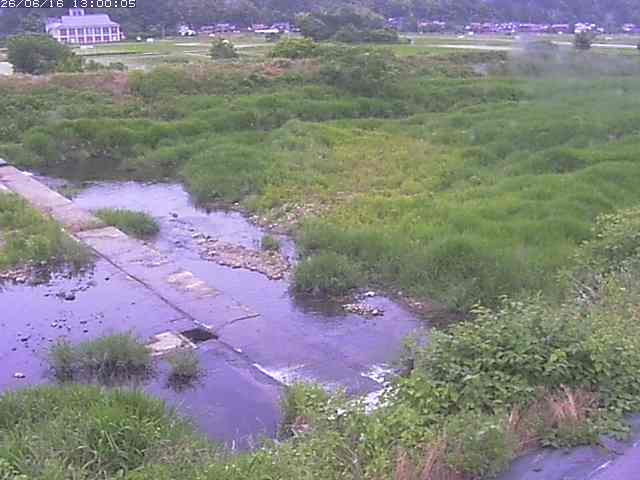 河内川２2026/06/17 12:00:00
