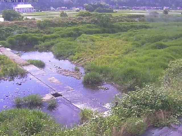 河内川２2026/06/17 12:00:00